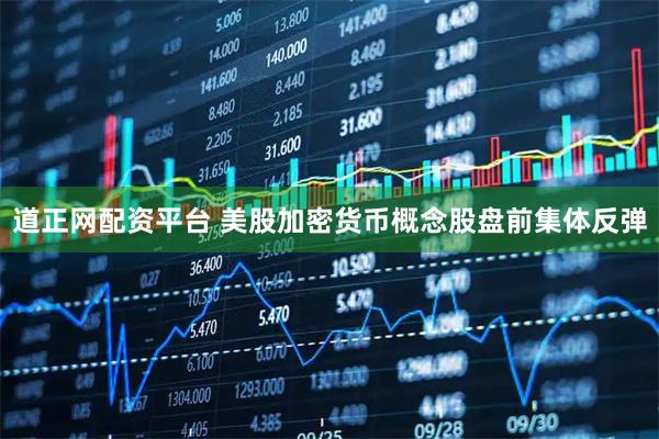 道正网配资平台 美股加密货币概念股盘前集体反弹